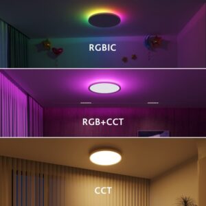 Smart LED Ceiling Light